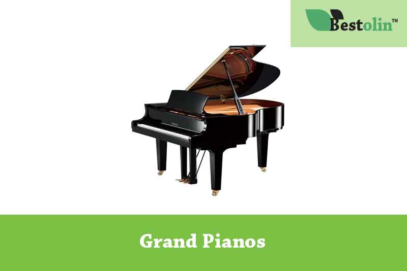 Grand Type Digital Pianos